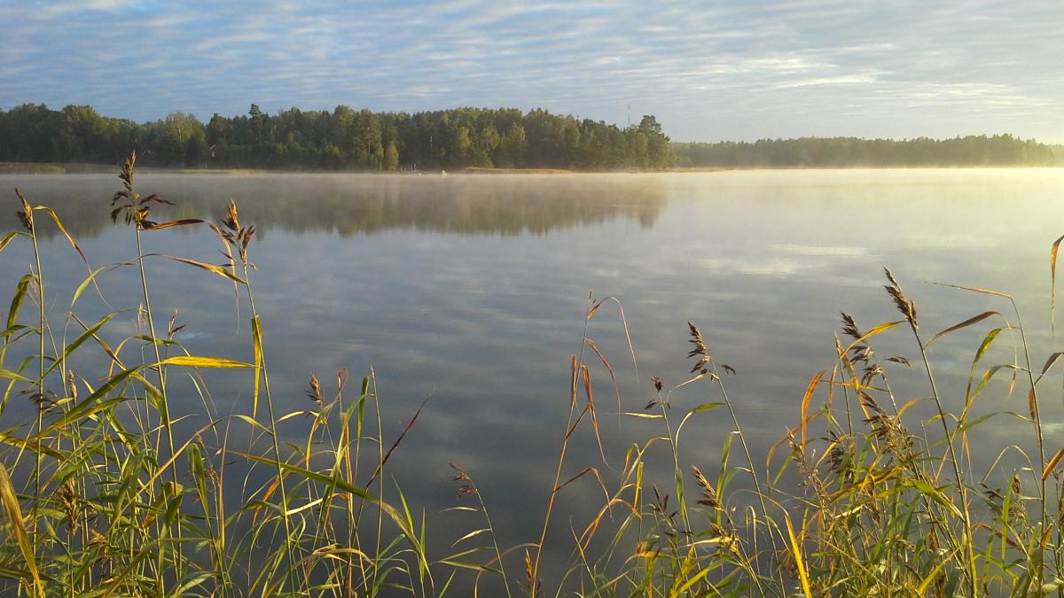 Photo, Leena Kaijala